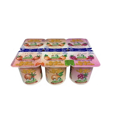 YOGURT -  FROMAGE FRAIS MAKABI X6 K/P